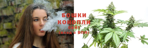 тгк Магас