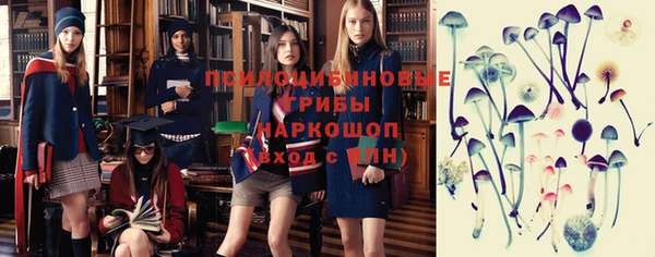 спайс Медногорск