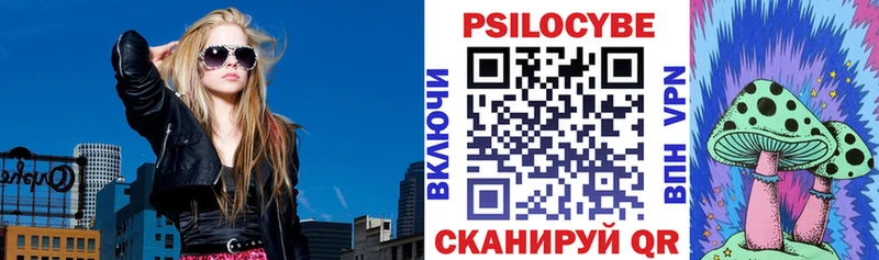 Галлюциногенные грибы Psilocybine cubensis  omg рабочий сайт  Покров  магазин  наркотиков 